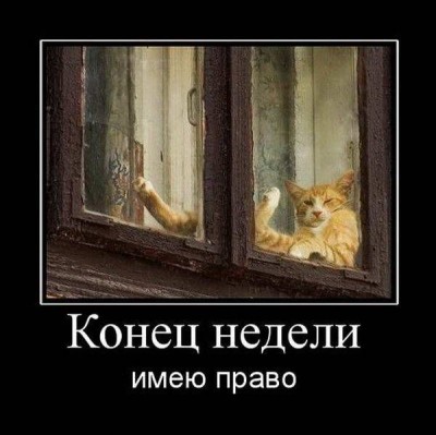 s3img_161461572_18421_1.jpg (51.48 КБ) 6729 просмотров s3img_161461572_18421_1.jpg