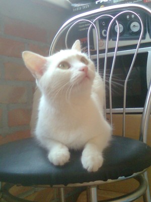 Саша тел 0288.jpg