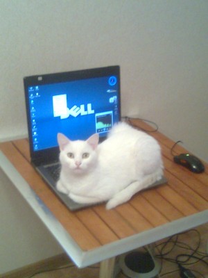 Саша тел 0289.jpg