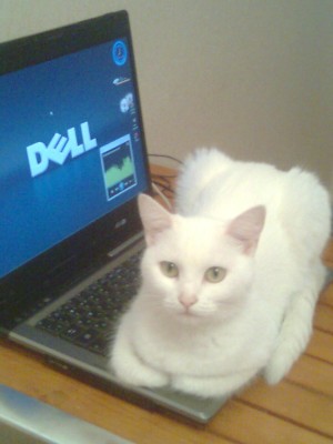 Саша тел 0291.jpg