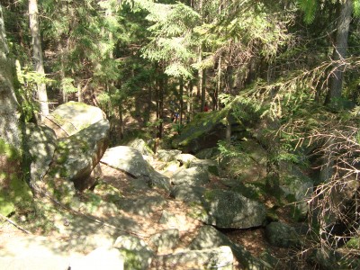 DSC06547.JPG
