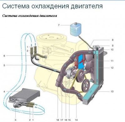 охлажд.JPG