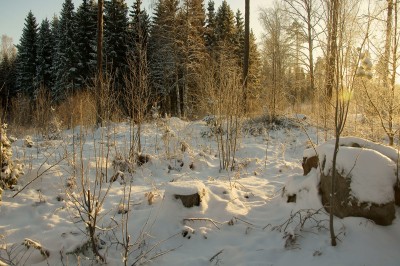 Image00033.jpg