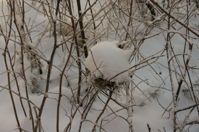 Image00036.jpg