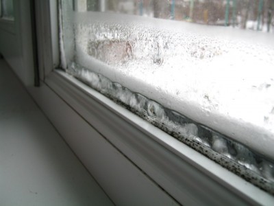 IMG_0080.jpg