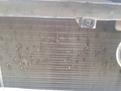 2012-08-14 18.44.27.jpg