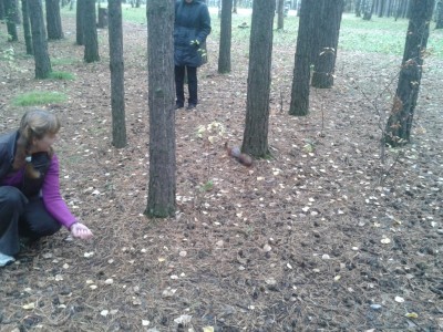 2012-09-20 13.12.58.jpg