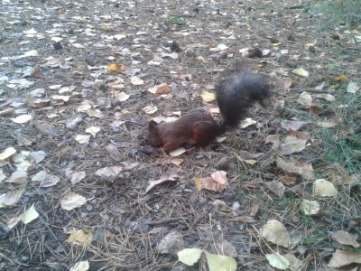 2012-09-20 13.15.09.jpg