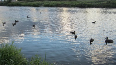 IMG_3238.JPG