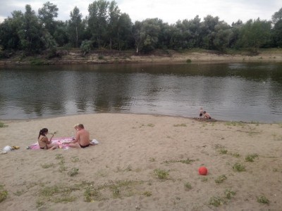 IMG_20130825_124136.jpg