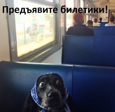 TBLaKasrKWk.jpg