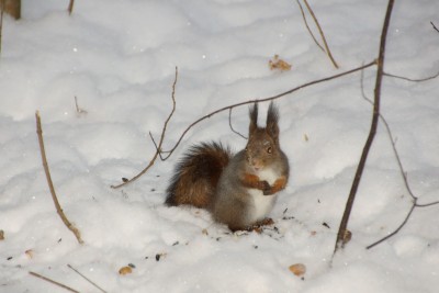Image00017.jpg
