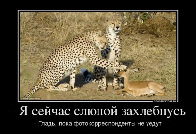 50366863_-ya-sejchas-slyunoj-zahlebnus.jpg