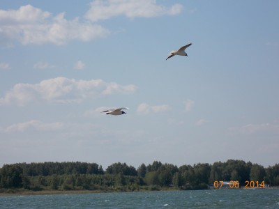 DSCN0393.jpg