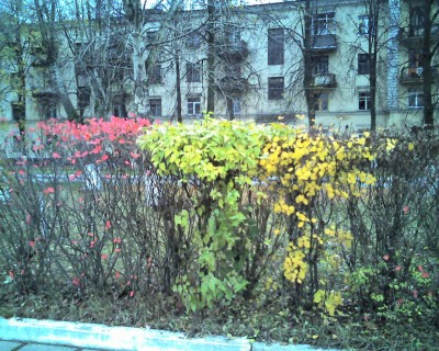 051017_144145.jpg