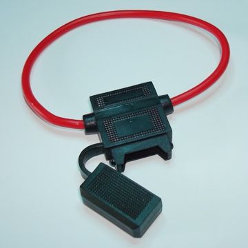 de259f435304.jpg