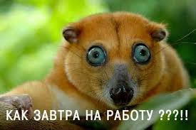 Завтра.jpg