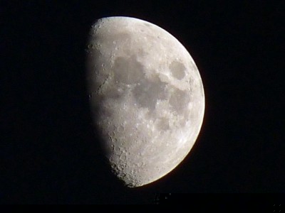 P1040056.jpg